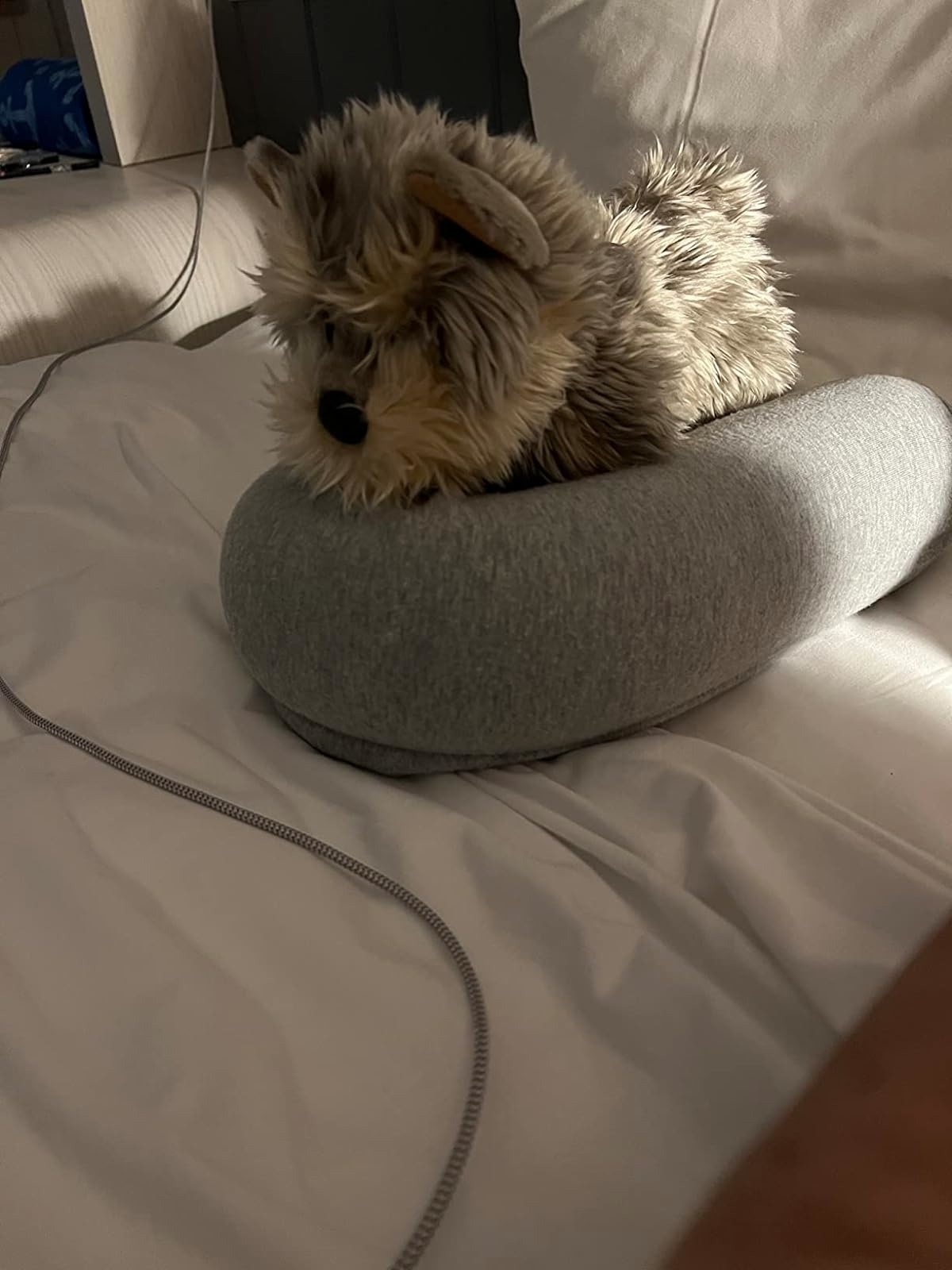 Reviewer image of the pillow around their dog