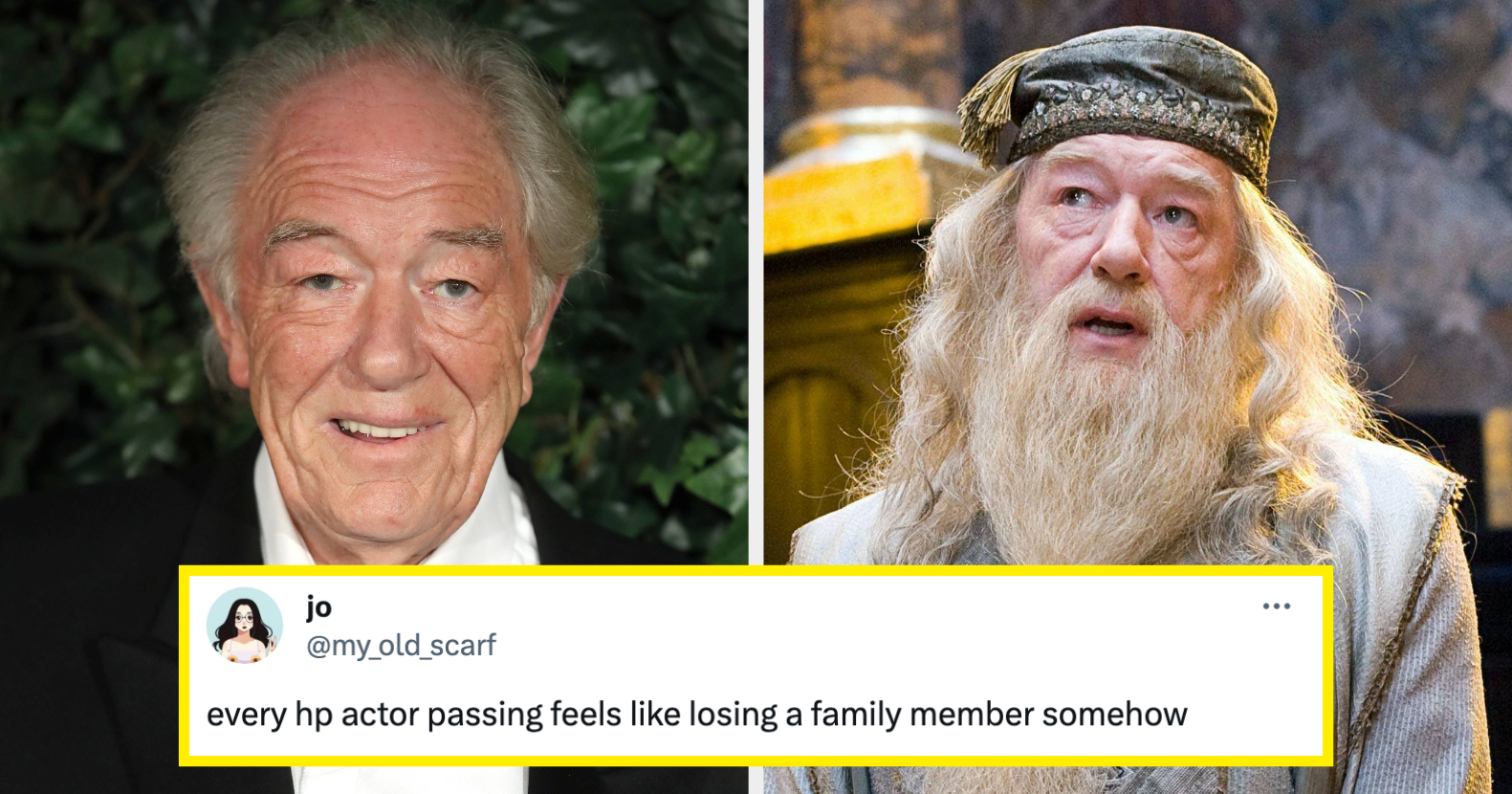 Michael Gambon Who Played Dumbledore In "Harry Potter" Has Died At Age ...