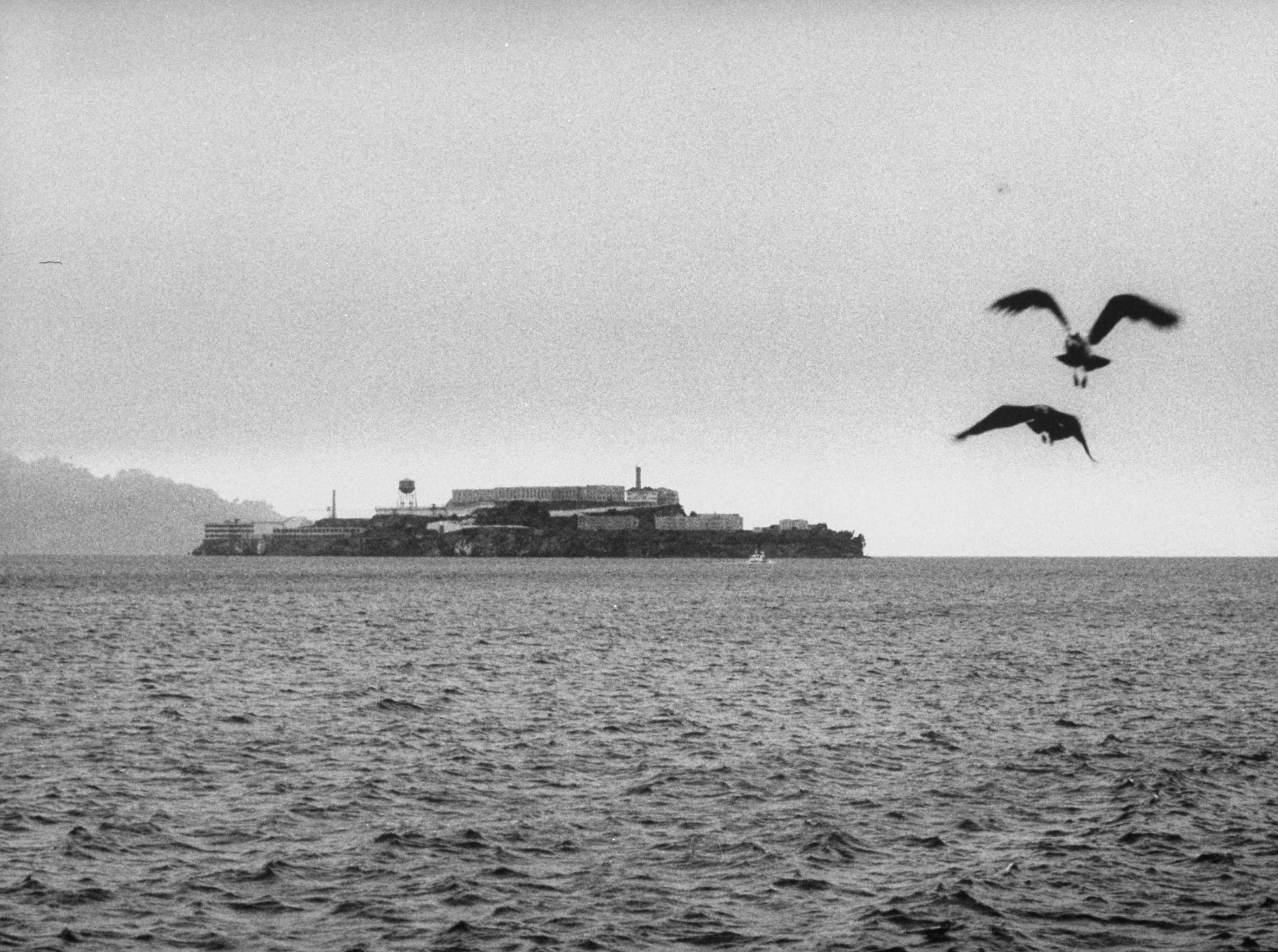 A wide shot of Alcatraz from across the water shortly after the escape