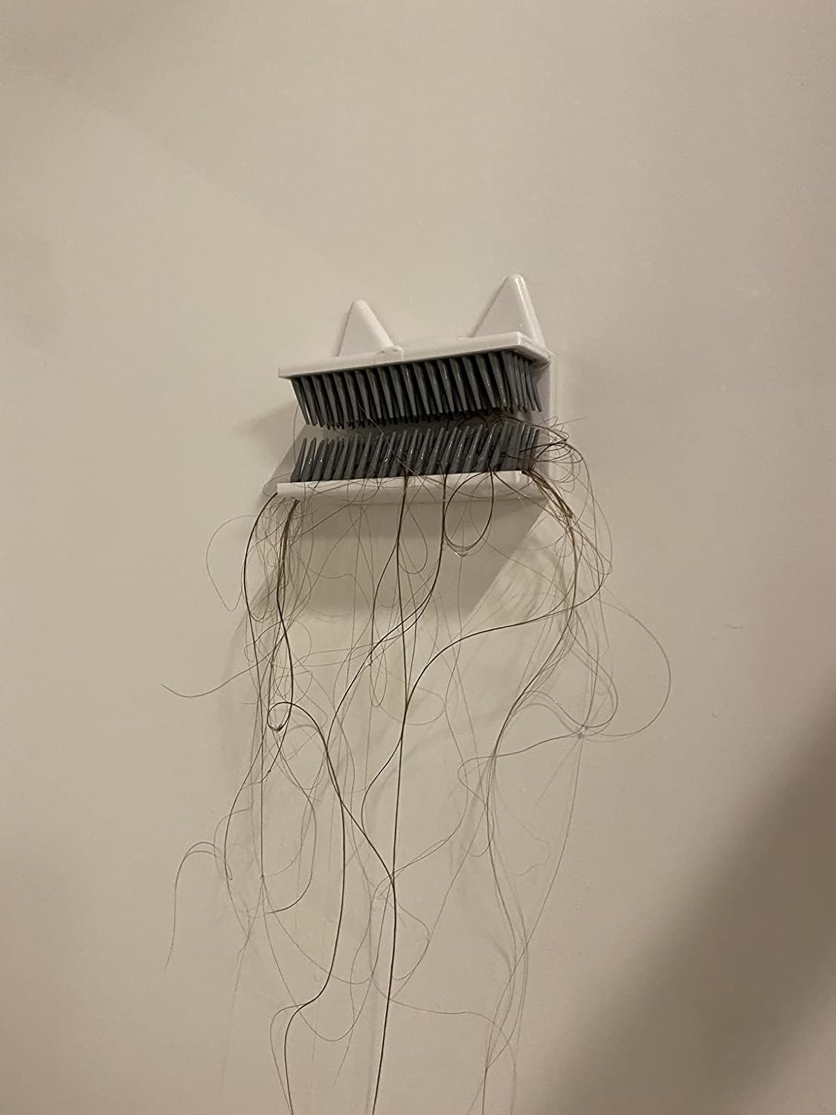 Reviewer image of hair in the hair catcher