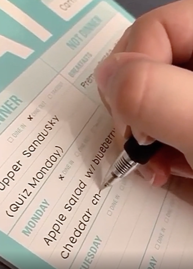 Someone writing on a planner