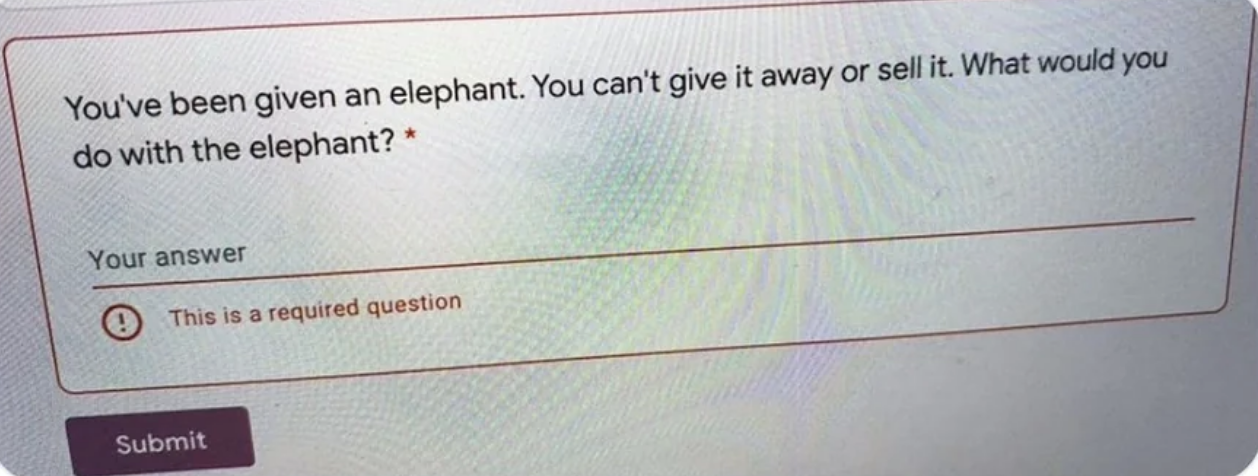 "you've been given an elephant. you can't give it away or sell it. what would you do with the elephant?"