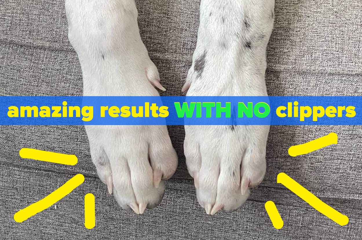 a reviewer photo of a dog's paws with trimmed nails and text reading "amazing results with no clippers"