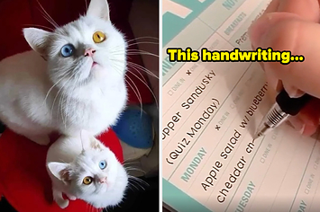 These photos make my eyeballs feel nice and cozy.