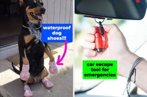waterproof dog shoes on the left and car escape tool on the right