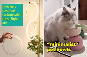 light fixture and pet bowl 