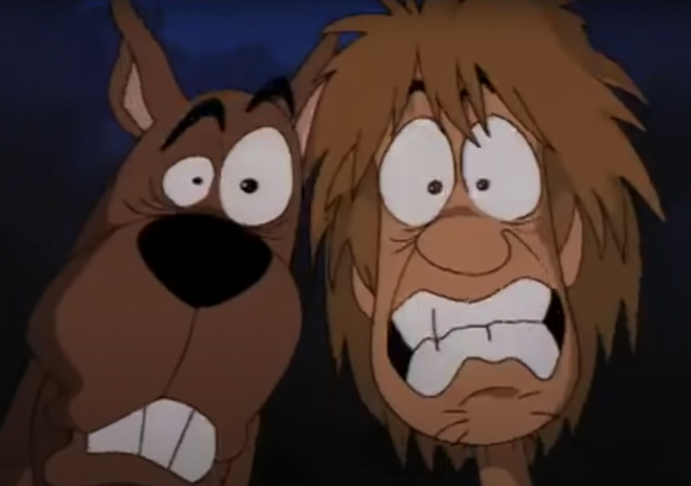 scooby-doo and shaggy scared