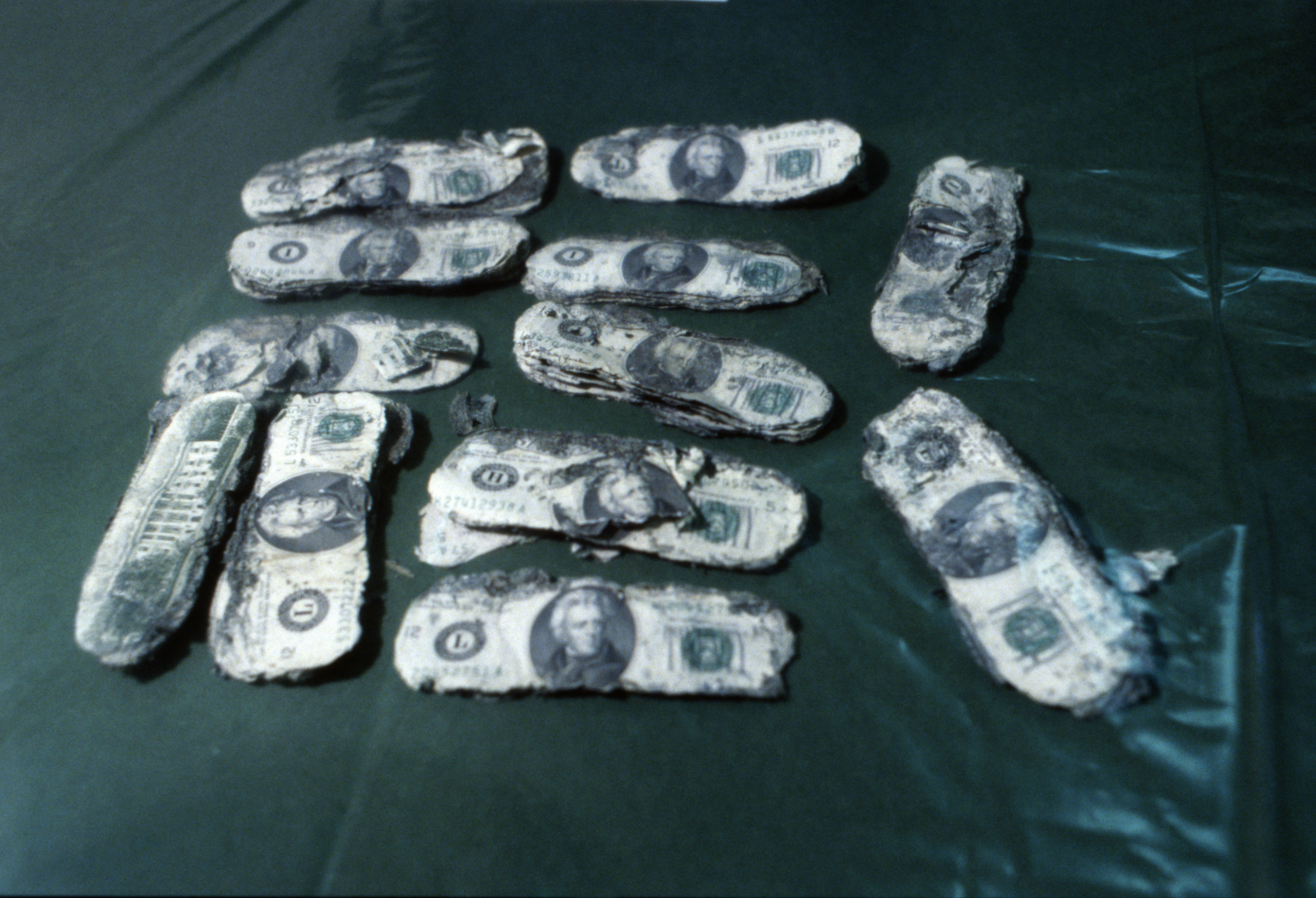the badly decomposed ransom money they found in 1980