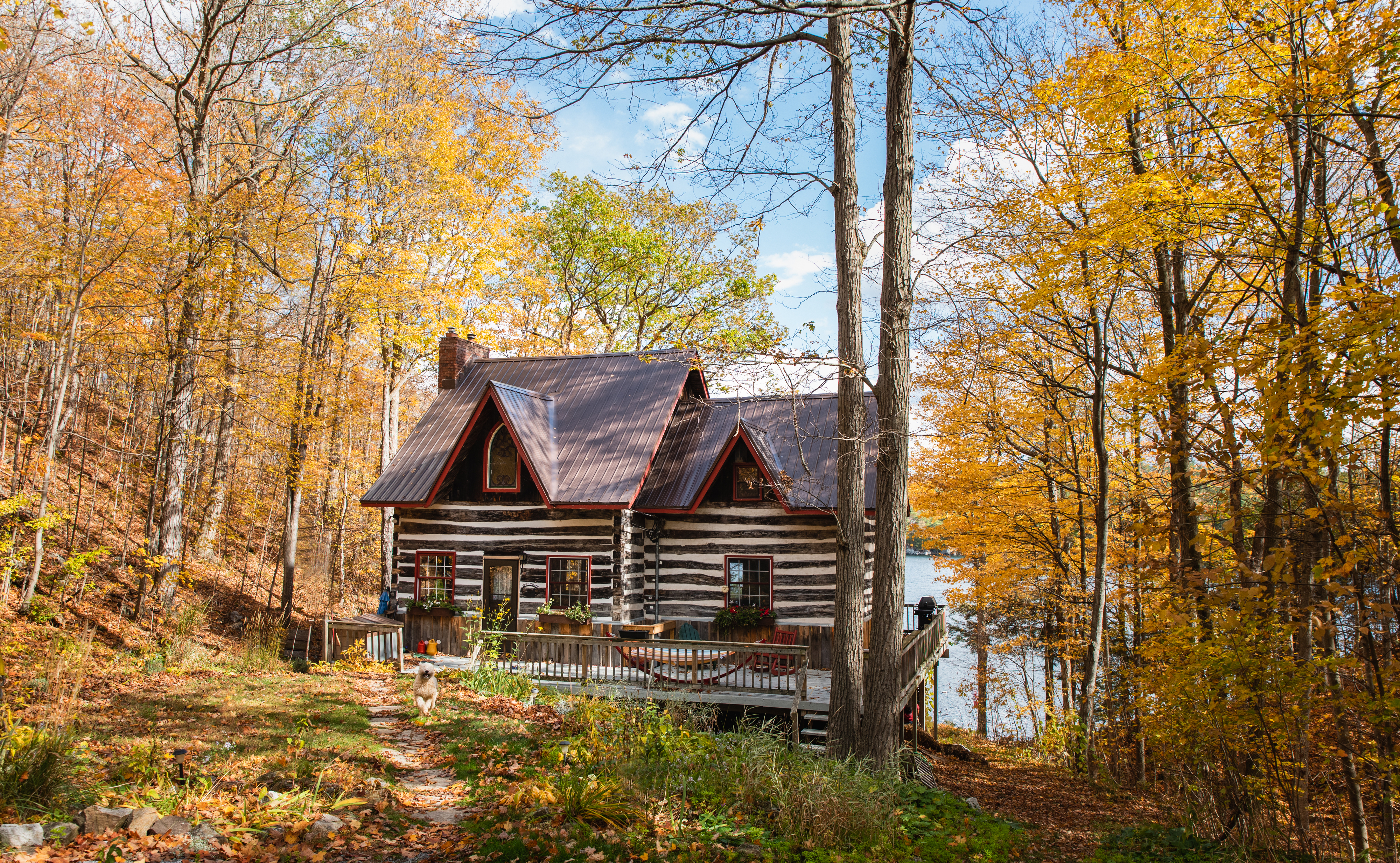 charming cabin in the woods, fall foliage surrounds