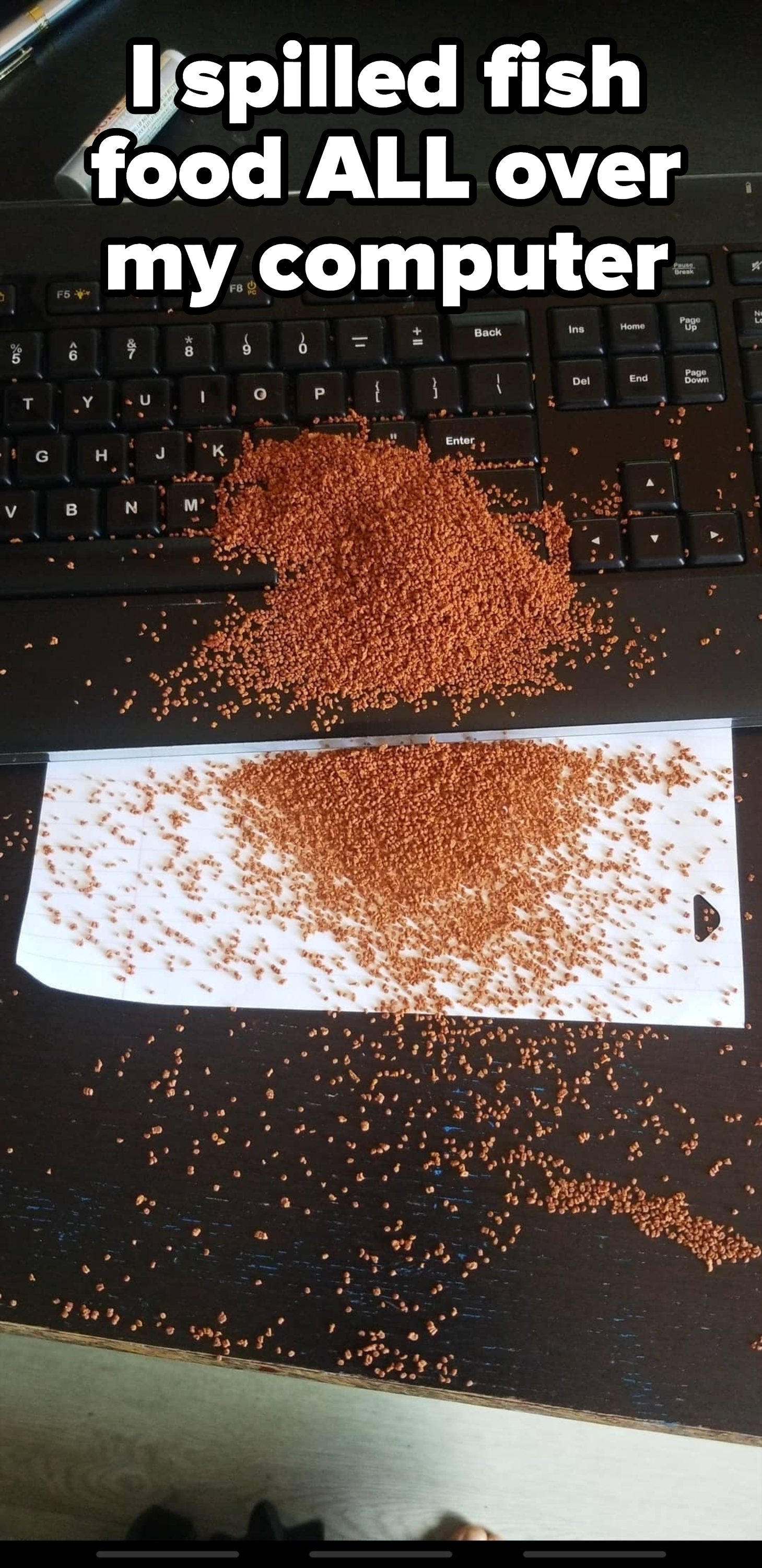 "I spilled fish food all over my computer"