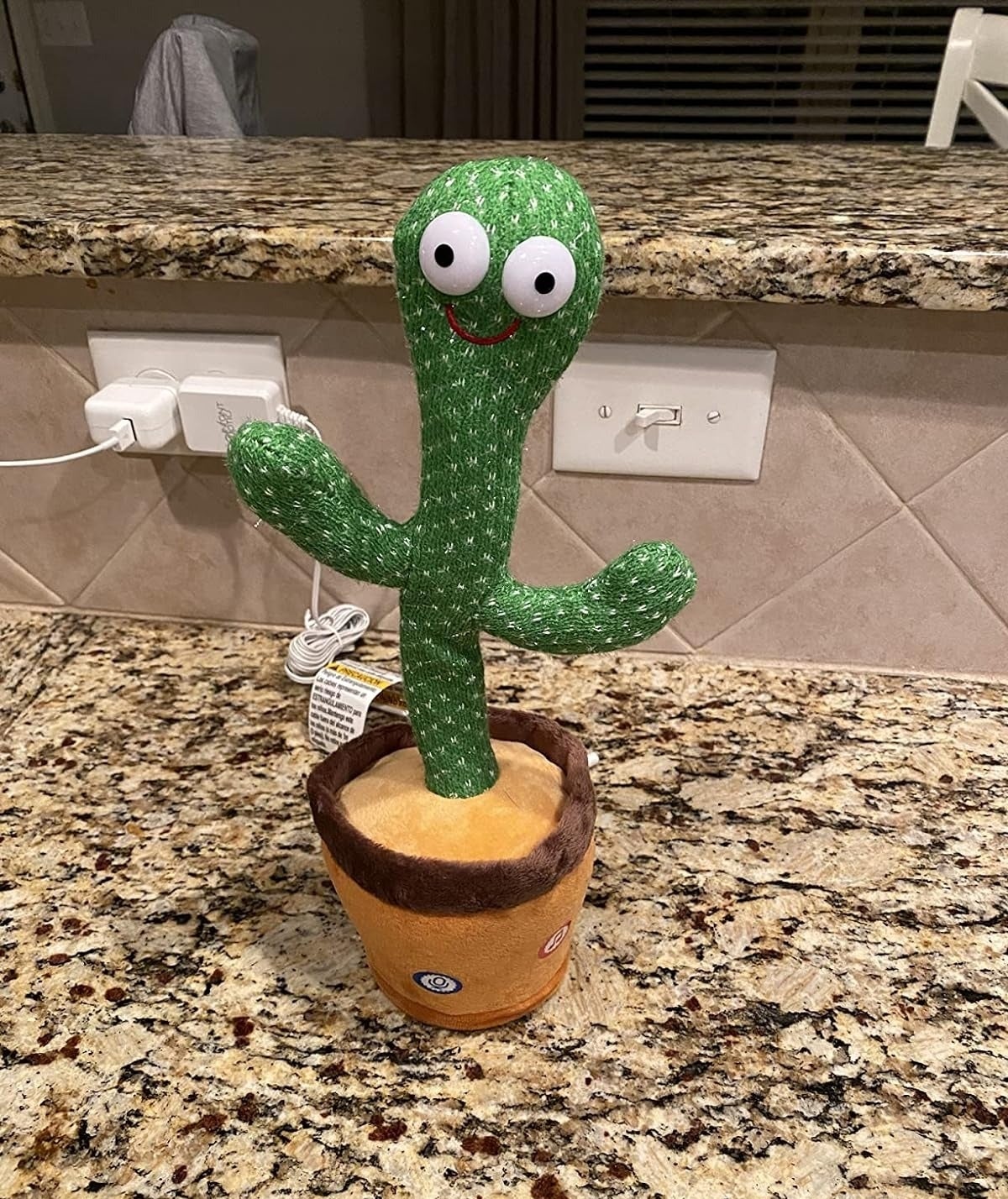 the dancing cactus on a countertoo