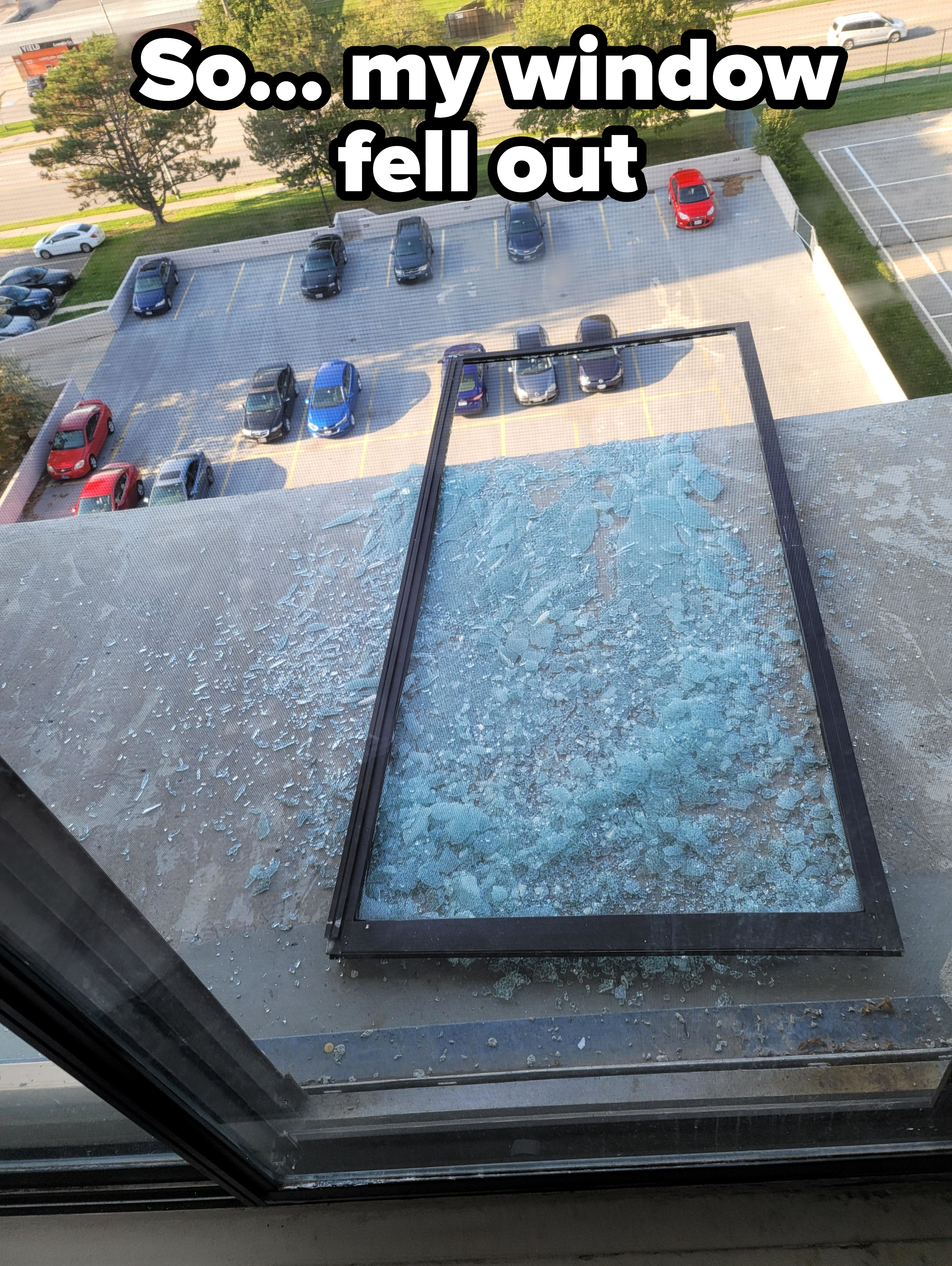"So… my window fell out"
