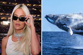 "I don’t want anything bad to happen to whales and I know the phobia is totally irrational, but we don’t pick our phobias."