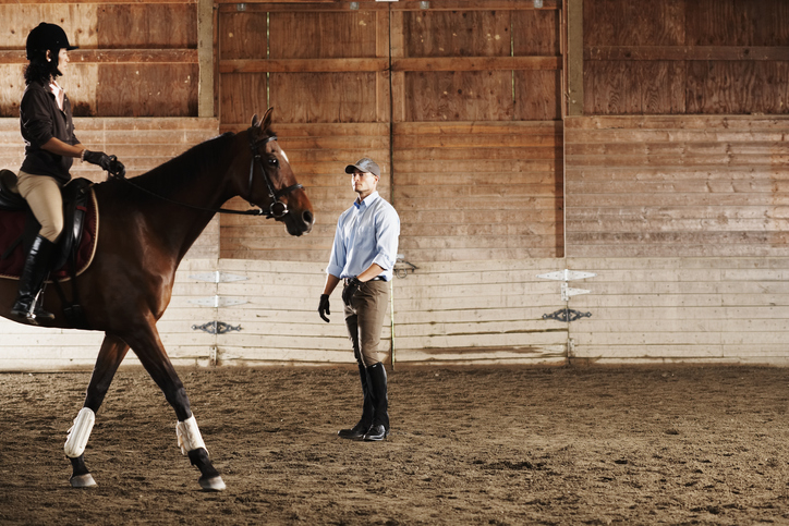 person riding a horse