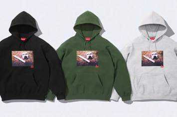 supreme hoodies pictured