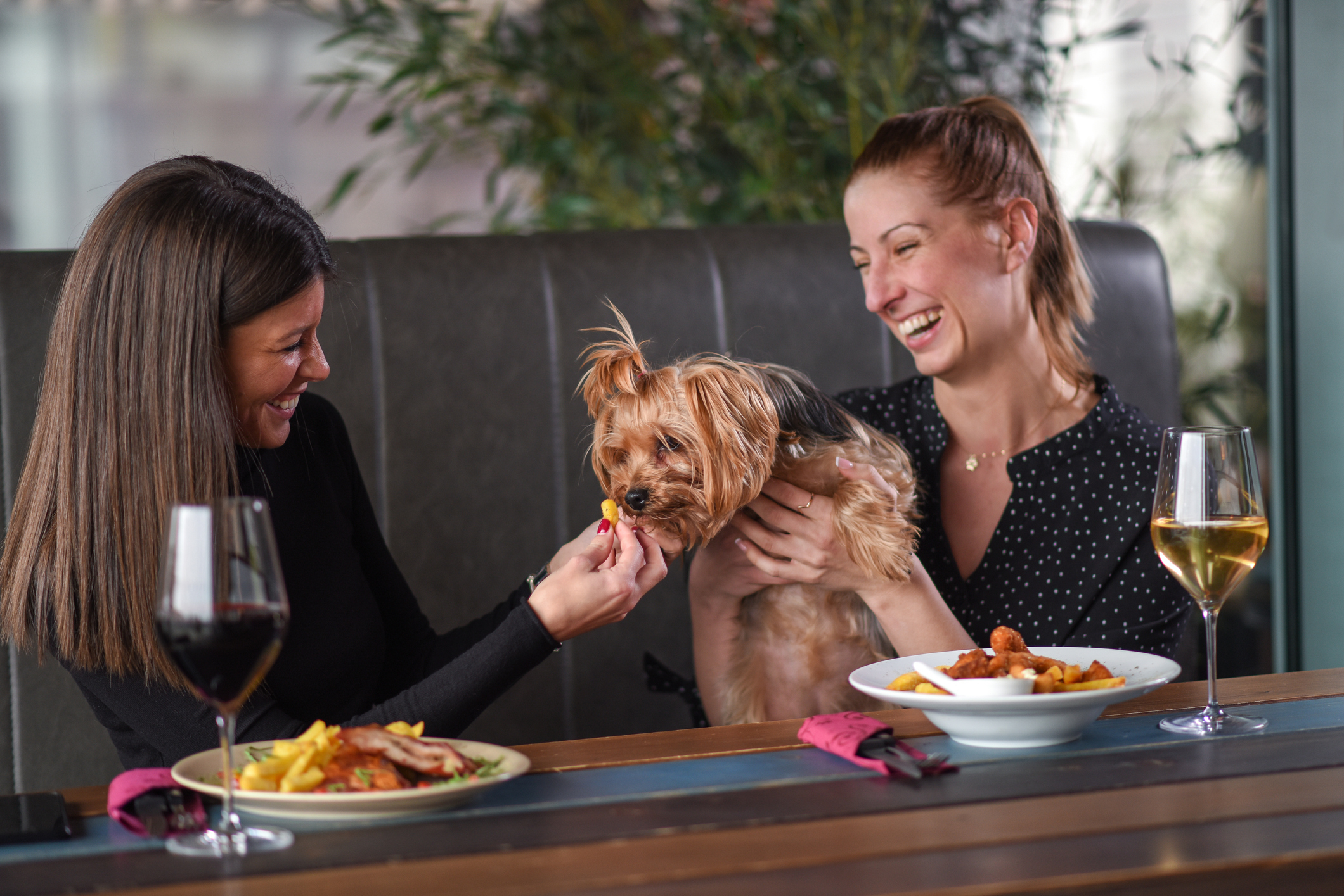 Two women playing with a dog in a restaurant