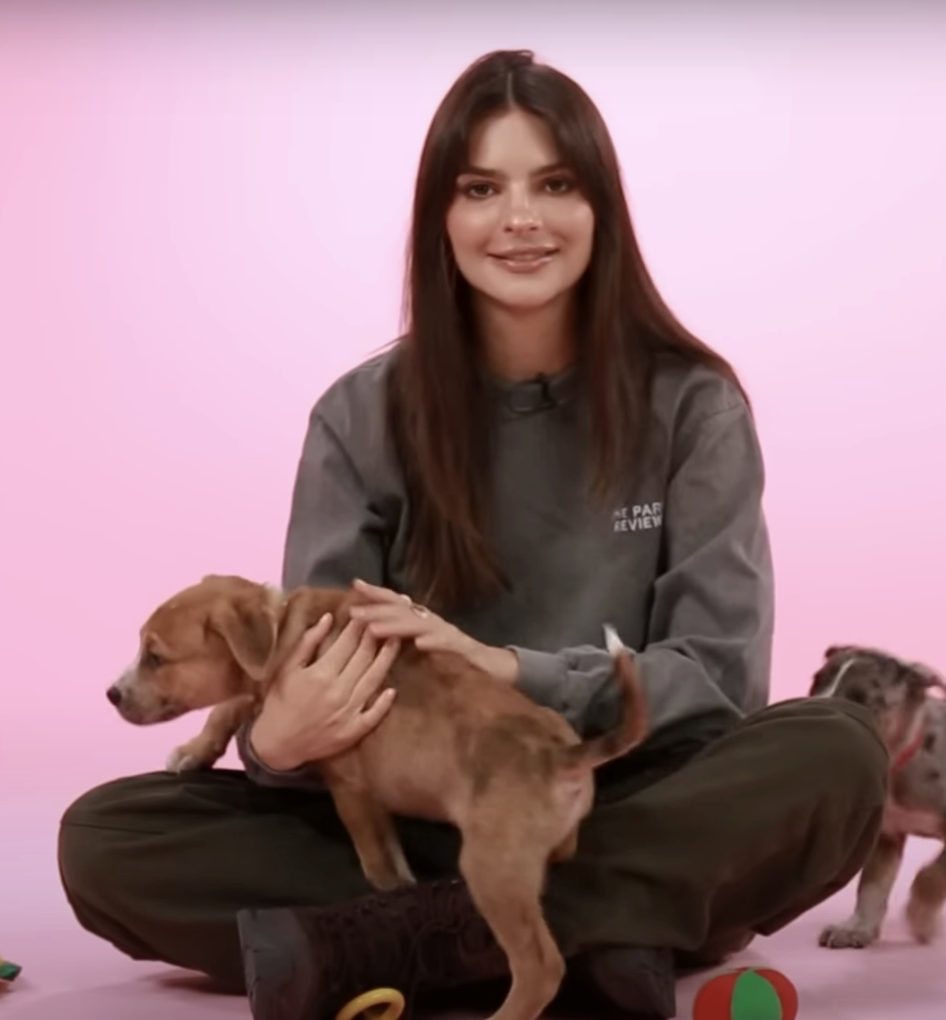 Emily with puppies