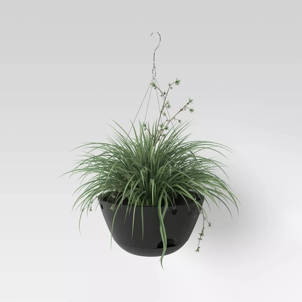 the black hanging planter with a spider plant inside