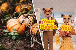 A pumpkin patch and Fantastic Mr. Fox. 