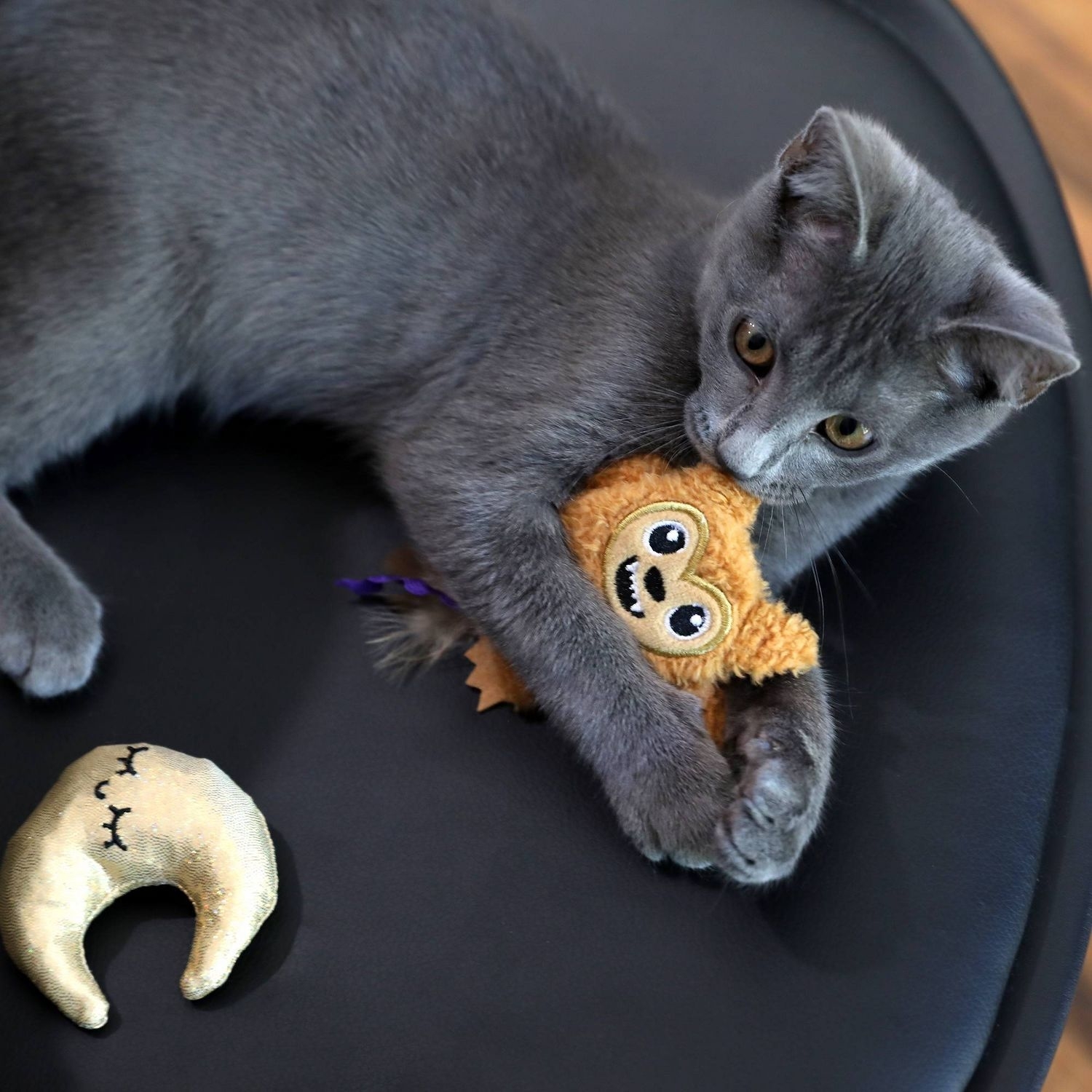 A cat playing with the toys, one shaped like a werewolf, one shaped like a crescent moon