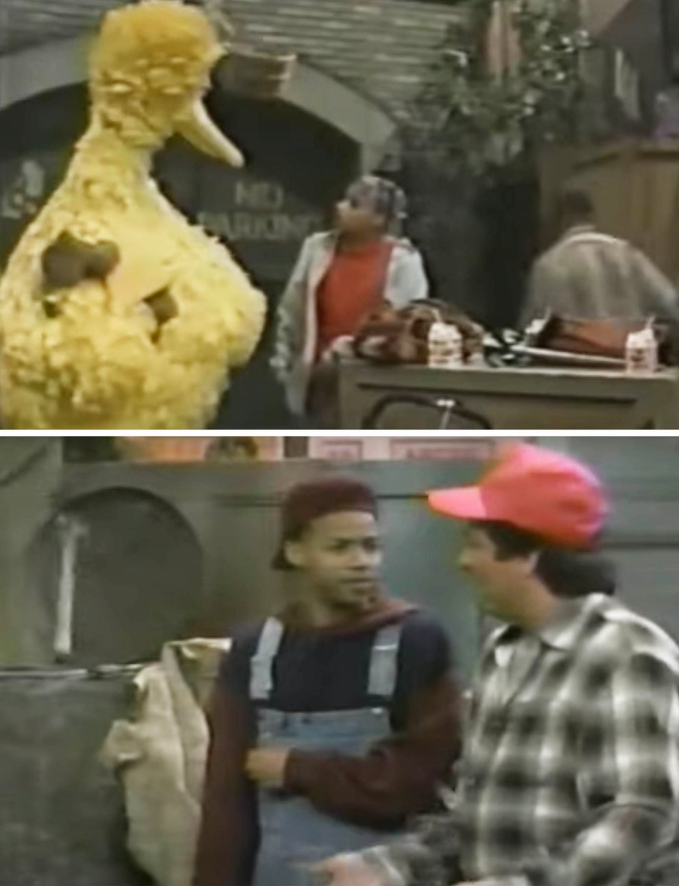 17 Actors Whose Careers Began On Sesame Street