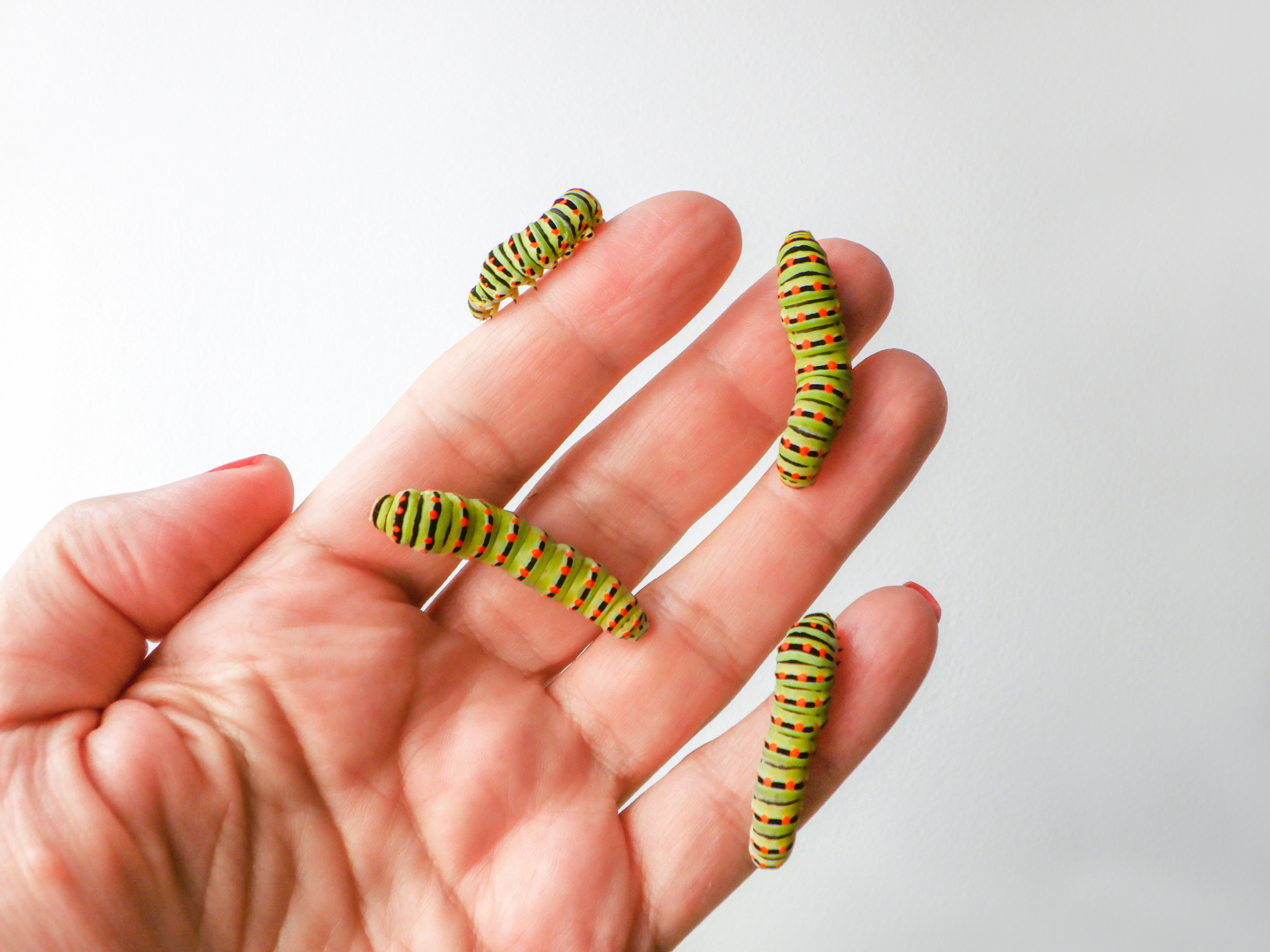 Caterpillars on someone&#x27;s hand