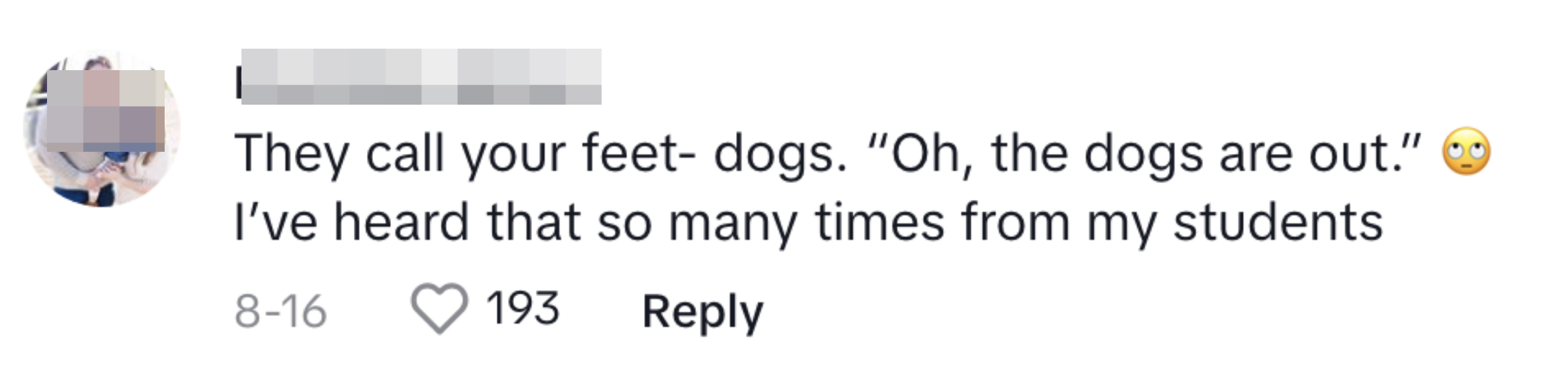 Commenter explaining how her students say &quot;Oh the dogs are out&quot; when people are wearing open-toed shoes