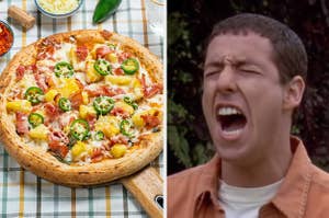 Pineapple on pizza and Adam Sandler screaming.