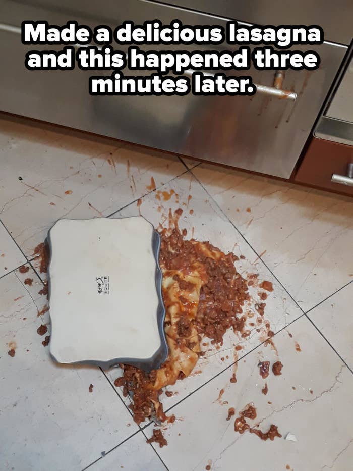 A pan of lasagna spills all over the kitchen floor, with caption &quot;Made a delicious lasagna and this happened three minutes later&quot;