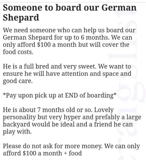 A person asks for someone to board their hyperactive dog for six months, and they&#x27;re offering $100 a month plus the cost of food