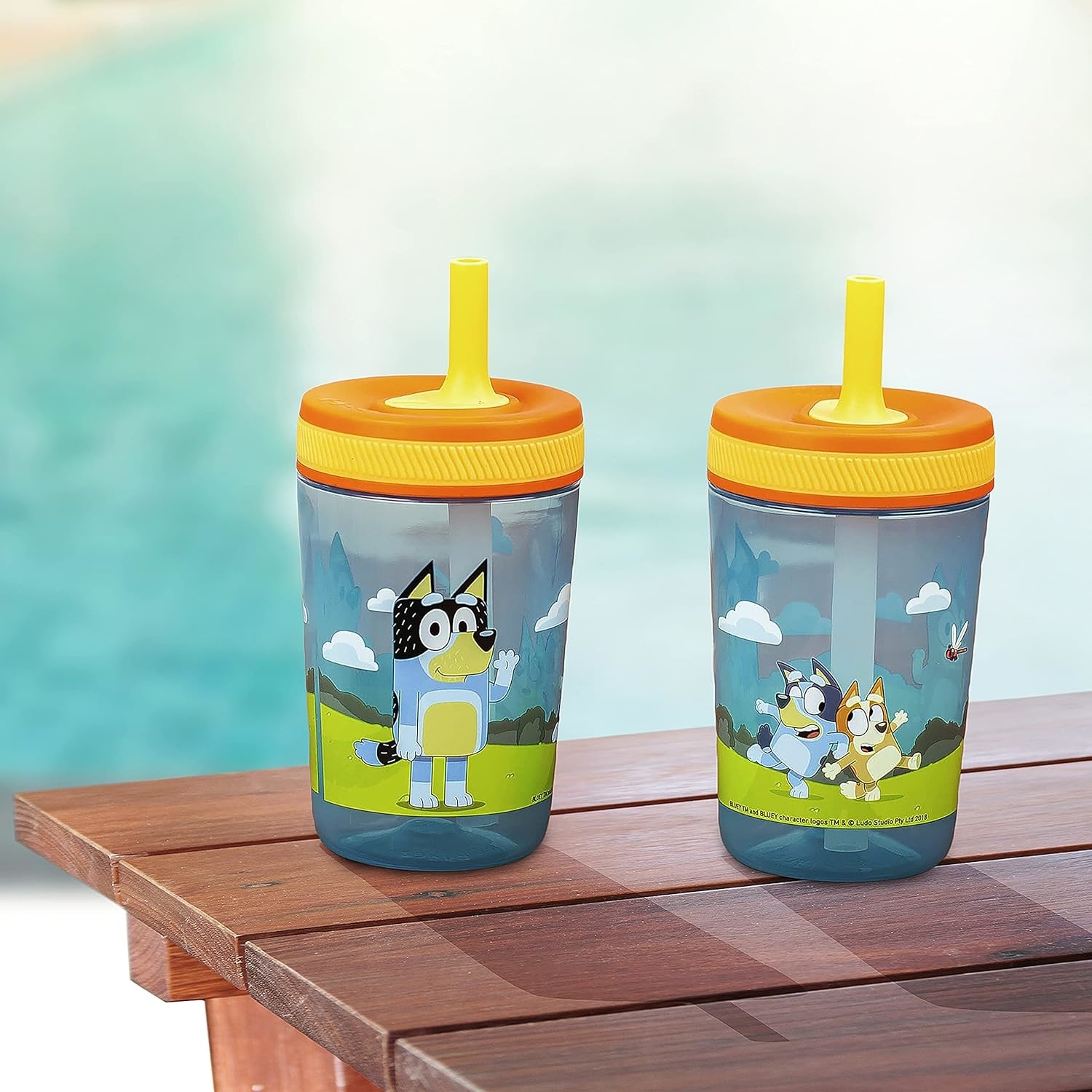 a bluey tumbler cup