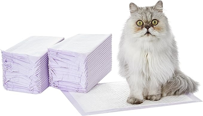 cat with litter box pads