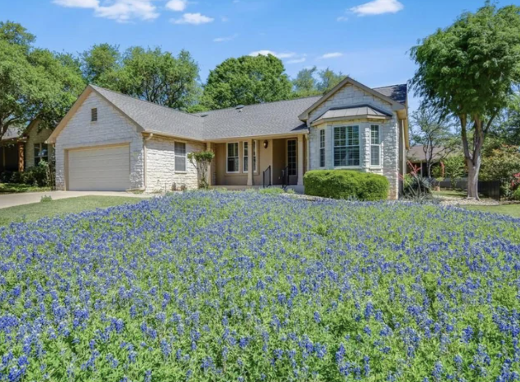 Bluebonnets in someone&#x27;s yard