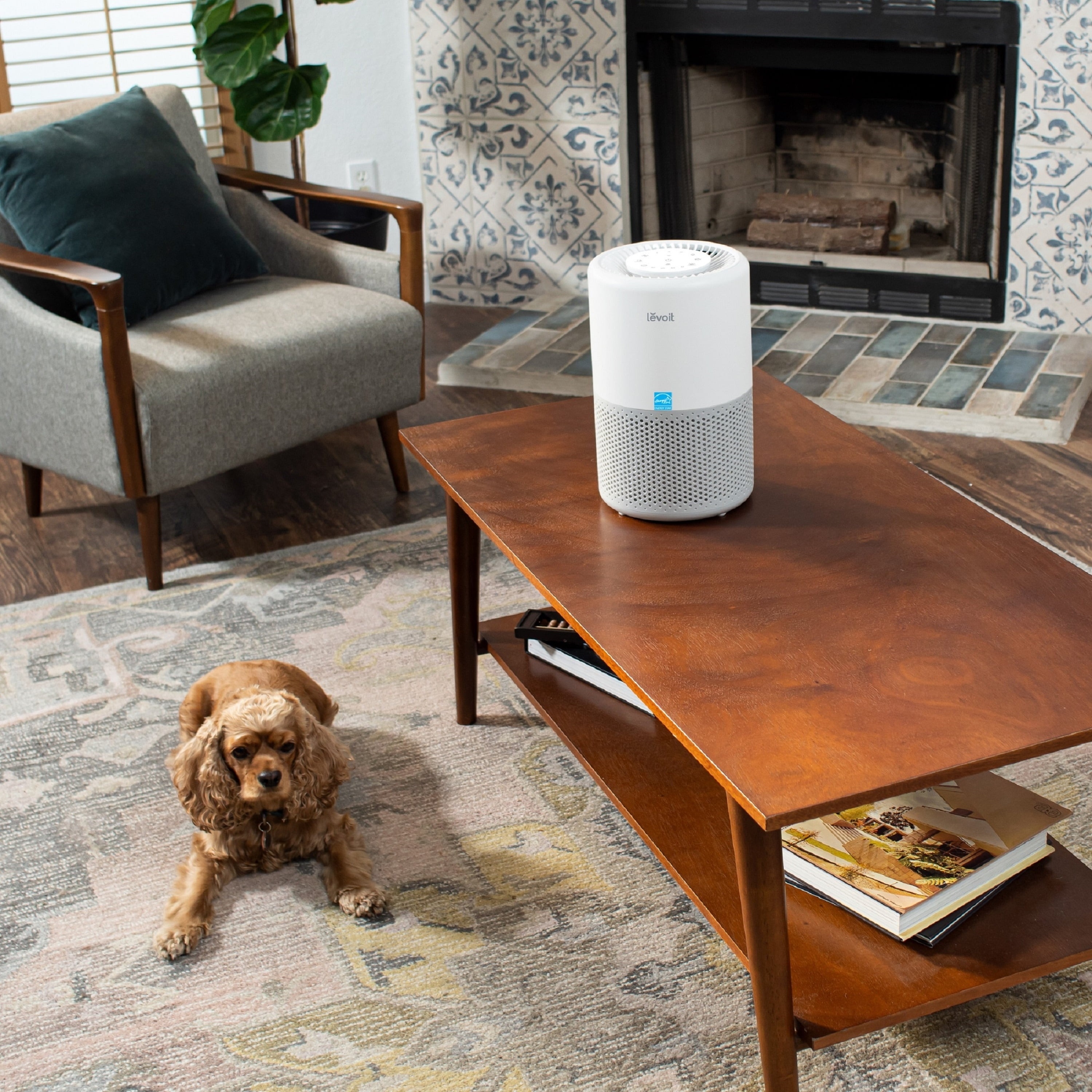 the air purifier on a coffee table next to a dog