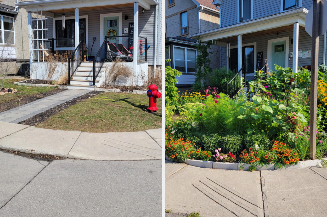 Before and after of a person&#x27;s lawn