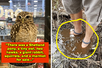 "I just stared at him, slack-jawed, and all he did was give me a cheeky wave. I never saw him again, but then again, I'm not totally convinced that I ever did see him in the first place."