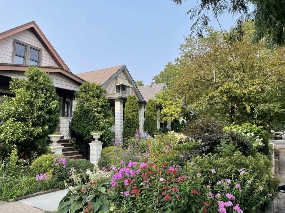 17 Alternatives To Grass Lawns - Turf Grass Alternatives For Penthouse Lawns