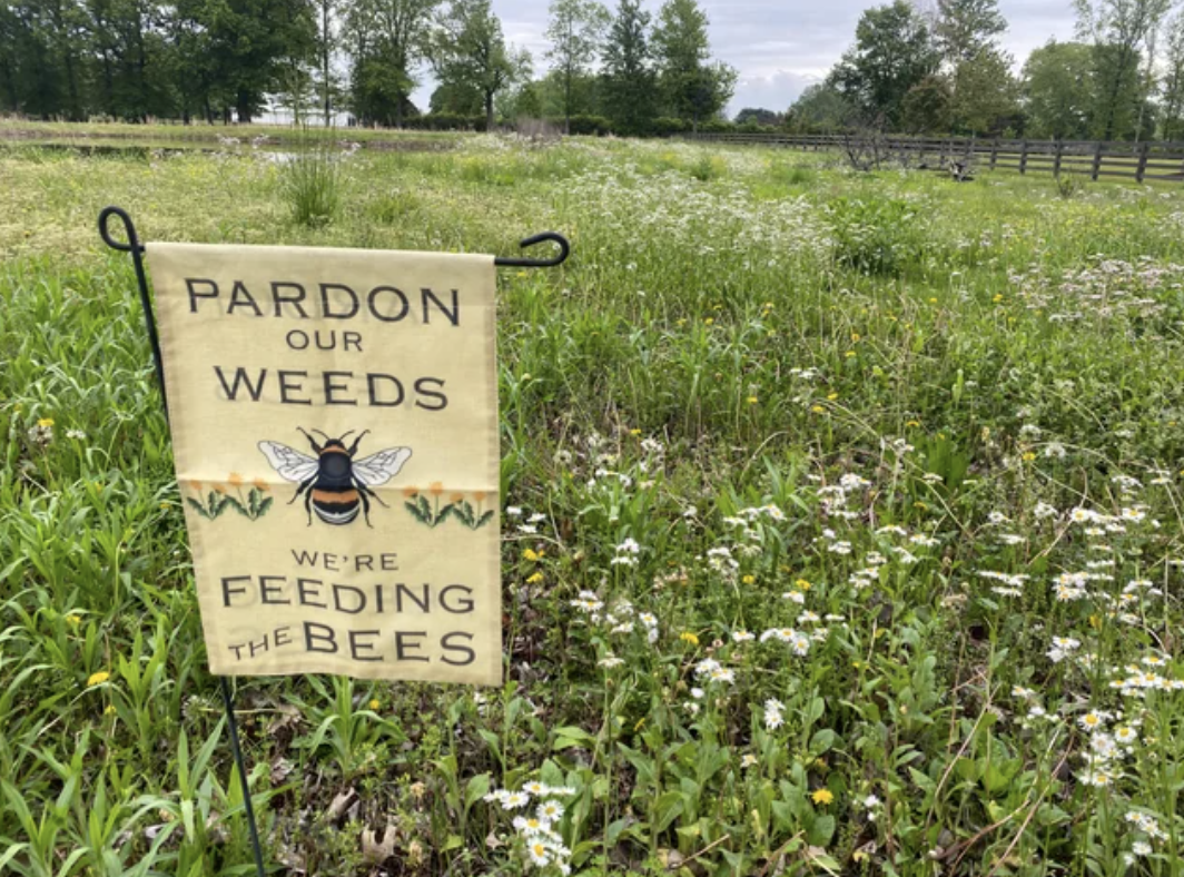 &quot;Pardon our weeds, we&#x27;re feeding the bees&quot;