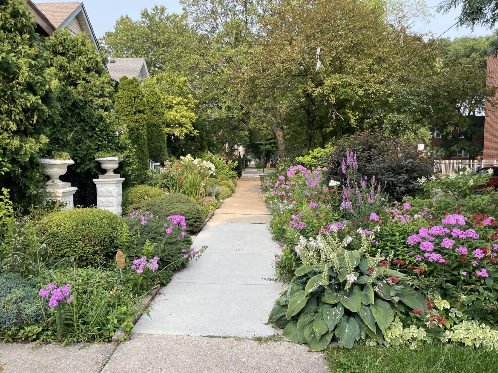 Lots of flowers near a sidwalk