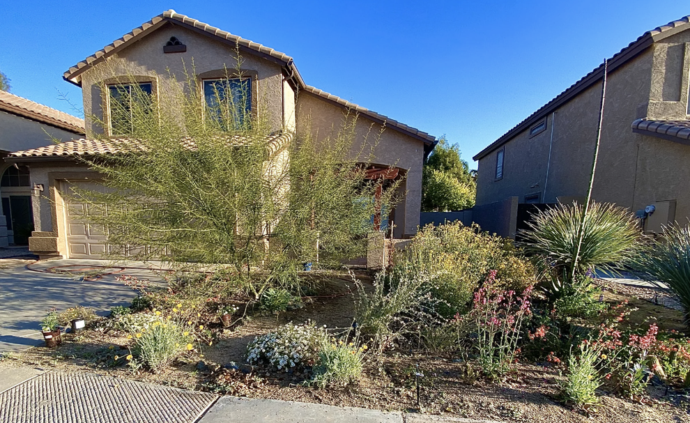 View of 17 Alternatives To Grass Lawns