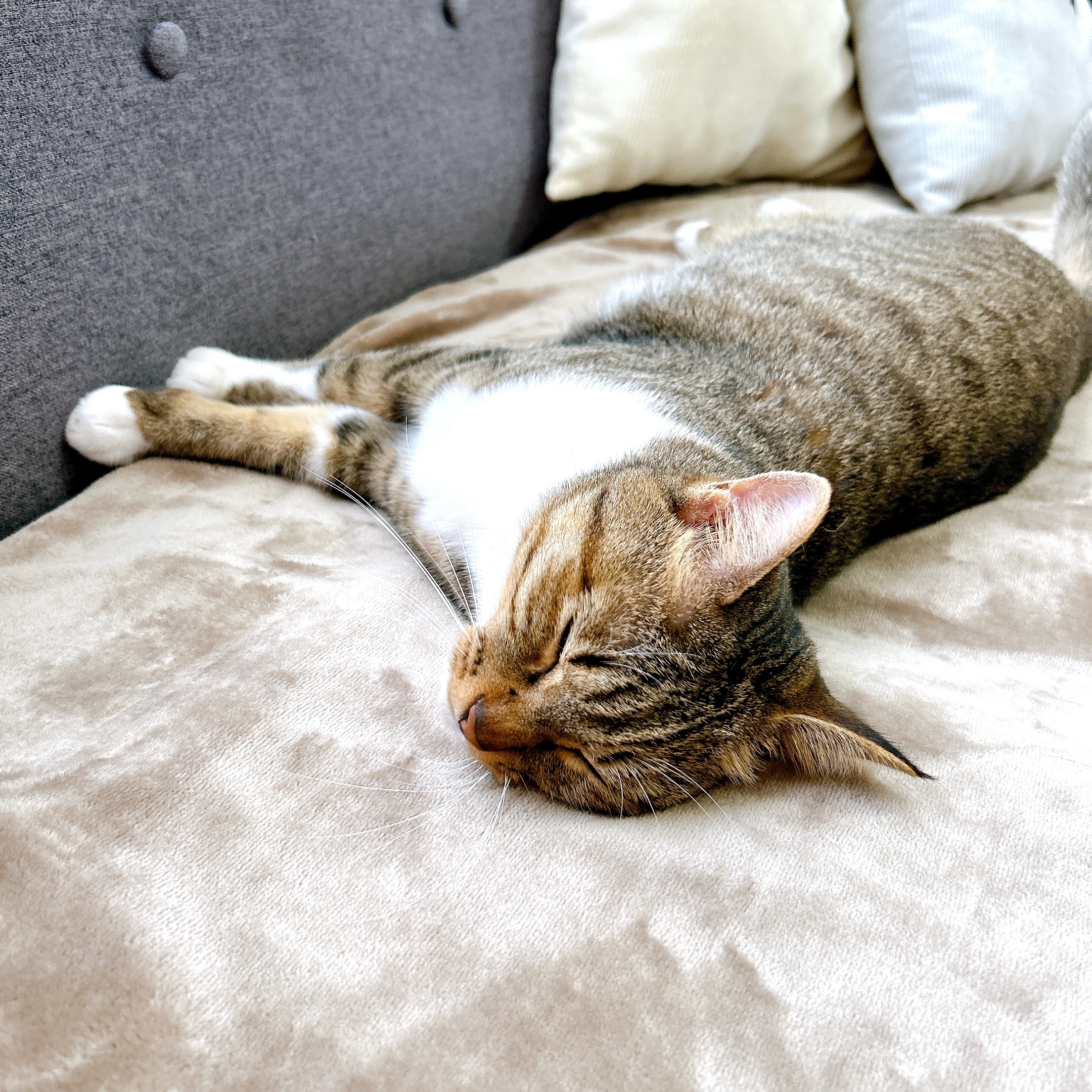 無印良品のおすすめ寒さ対策グッズ「ソファで使えるホットシート」