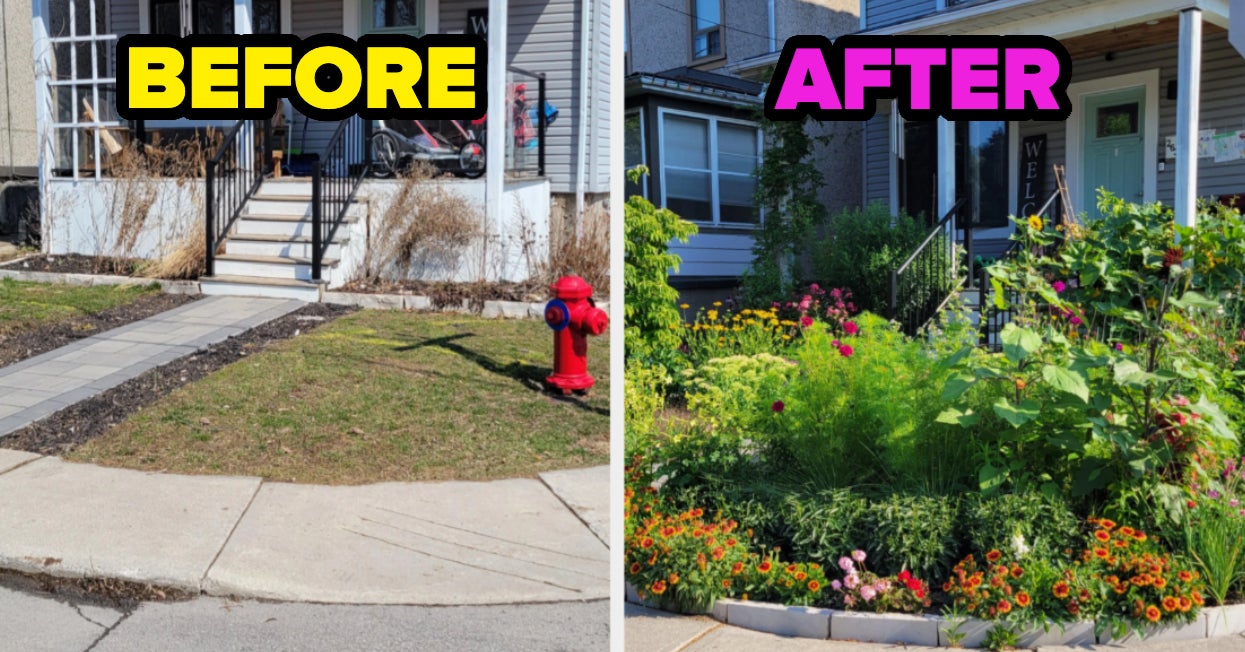 Image showcasing 17 Alternatives To Grass Lawns