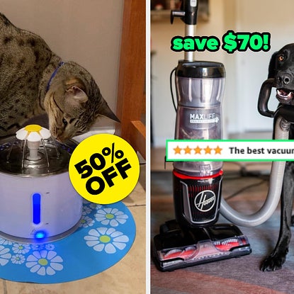 ~Paws~ What You're Doing To Check Out These Prime Day Pet Deals Before They're Over