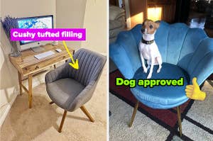 Reviewer image of gray tufted chair with wooden legs in front of wooden desk, reviewer image of blue velvet chair with dog sitting on top