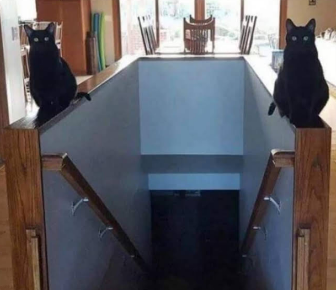 Two black cats sitting at the top of stairs descending into a basement