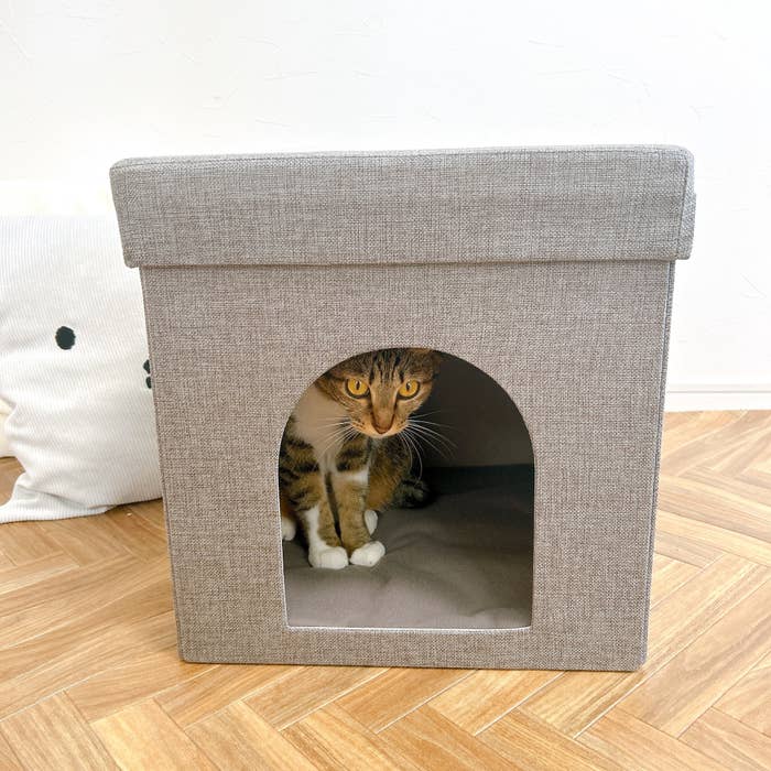 ニトリのおすすめペット用品「座れる室内用ペットハウス(GY)」