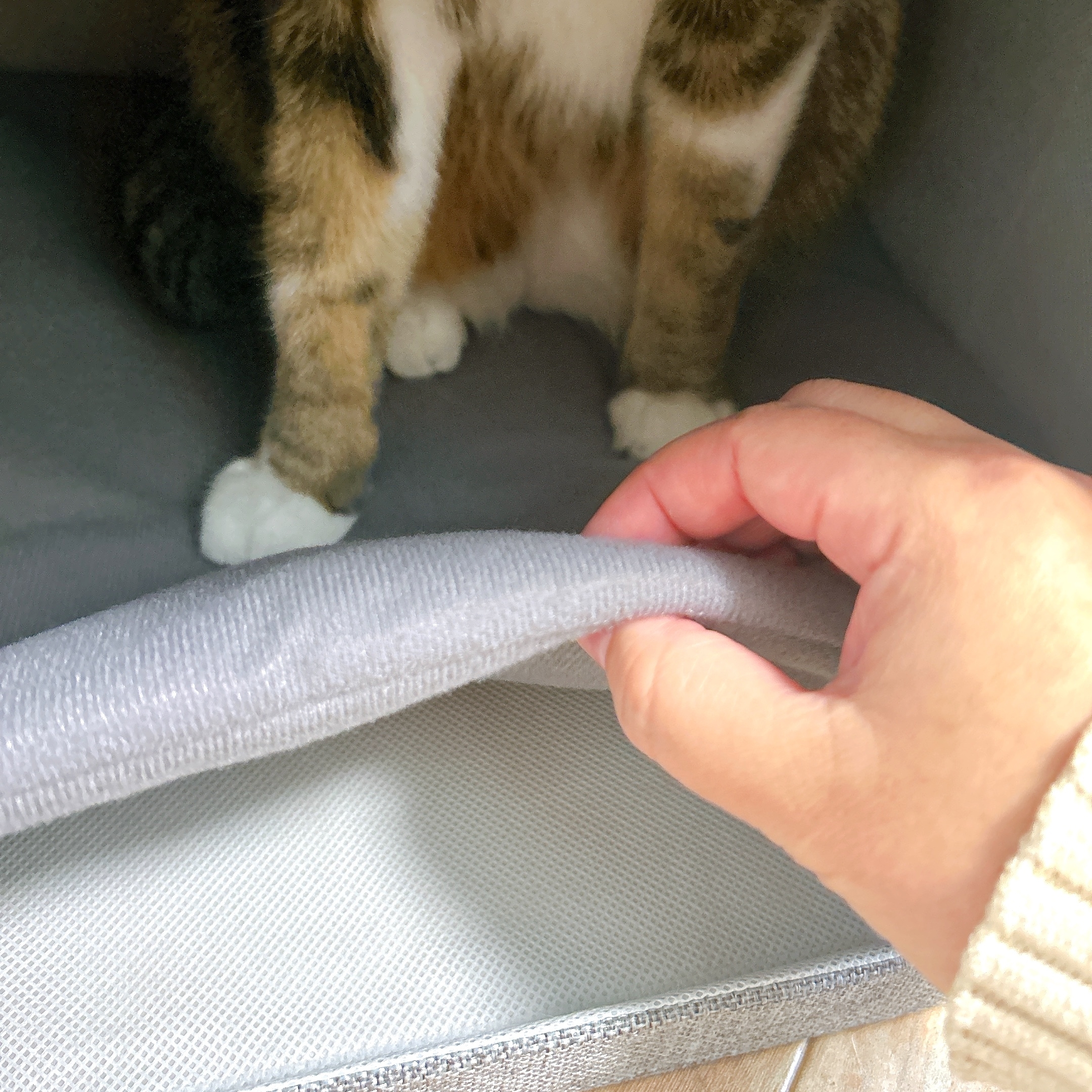 ニトリのおすすめペット用品「座れる室内用ペットハウス(GY)」