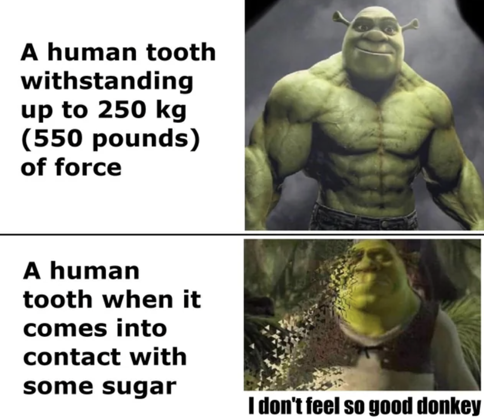 muscled shrek with the text, a human too withstanding 250 kilograms, and then shrek fading away with text, a human tooth when it comes into contact with sugar