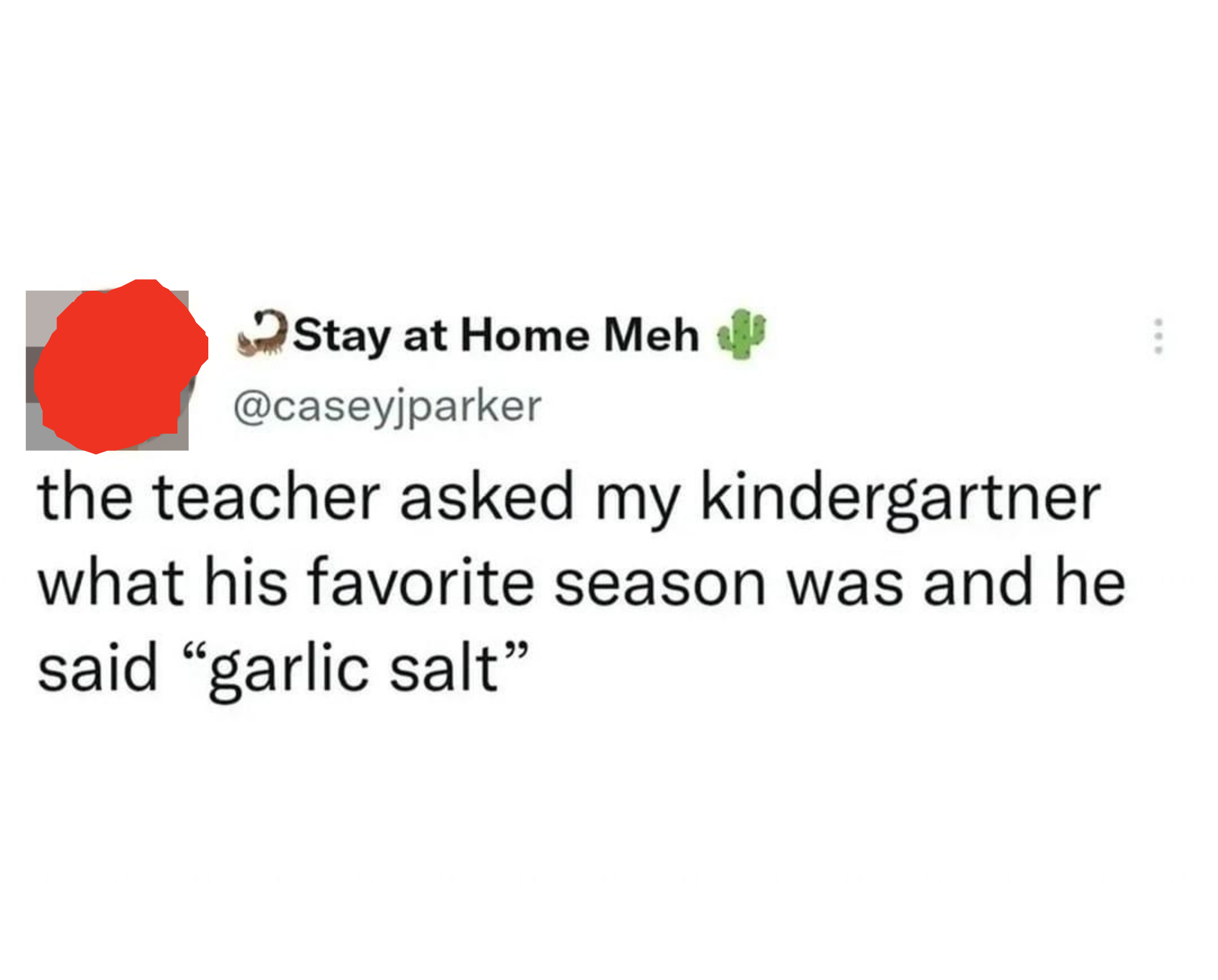 Teacher asked kindergartner what his favorite season was, and he said &quot;Garlic salt&quot;