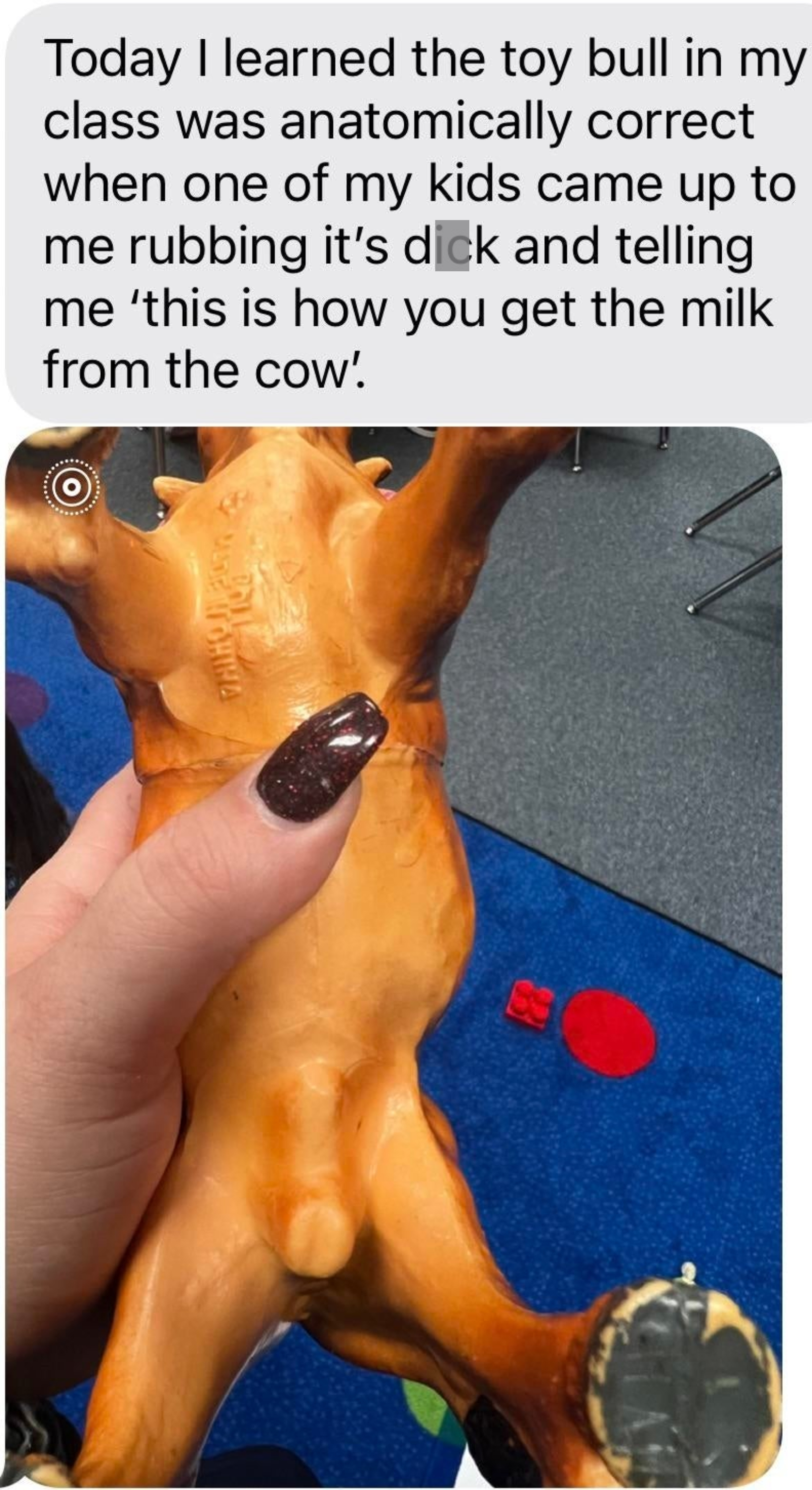 Student learned the toy bull was anatomically correct when another student rubbed its penis and said &quot;This is how you get the milk from a cow&quot;